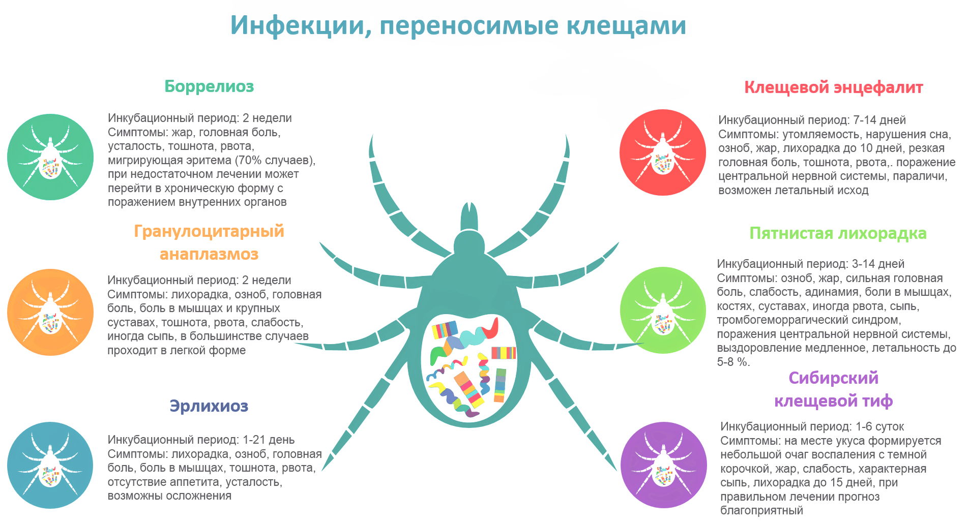 болезни от клещей