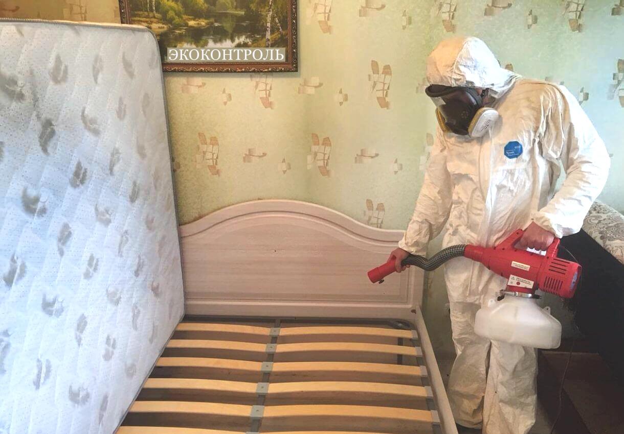 Дезинсекция клопов в квартире Дезинсекция клопов в квартире
