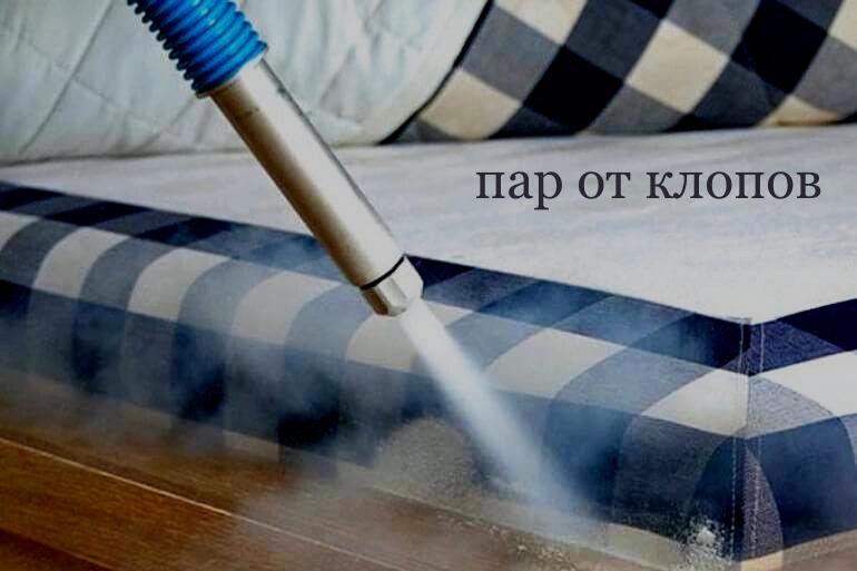 Обработка паром от клопов обработка паром от клопов