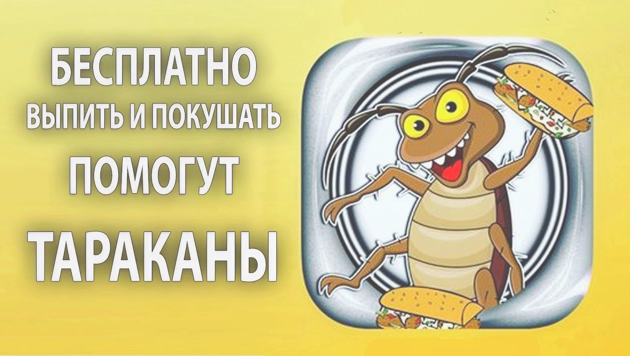 таракан в блюде таракан в блюде